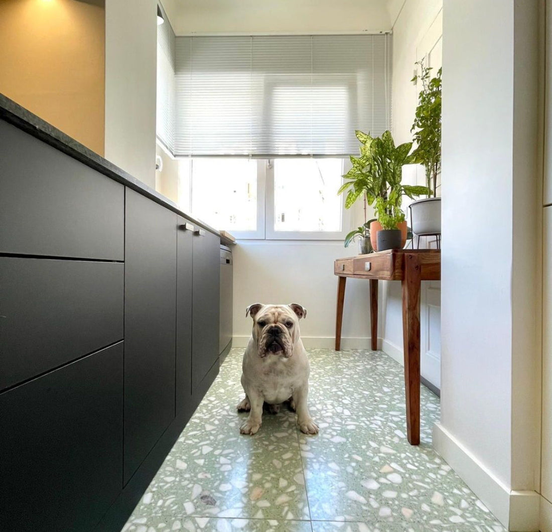 Designing a Confident Kitchen: How to Use Colourful Tiles Without Overwhelming the Space