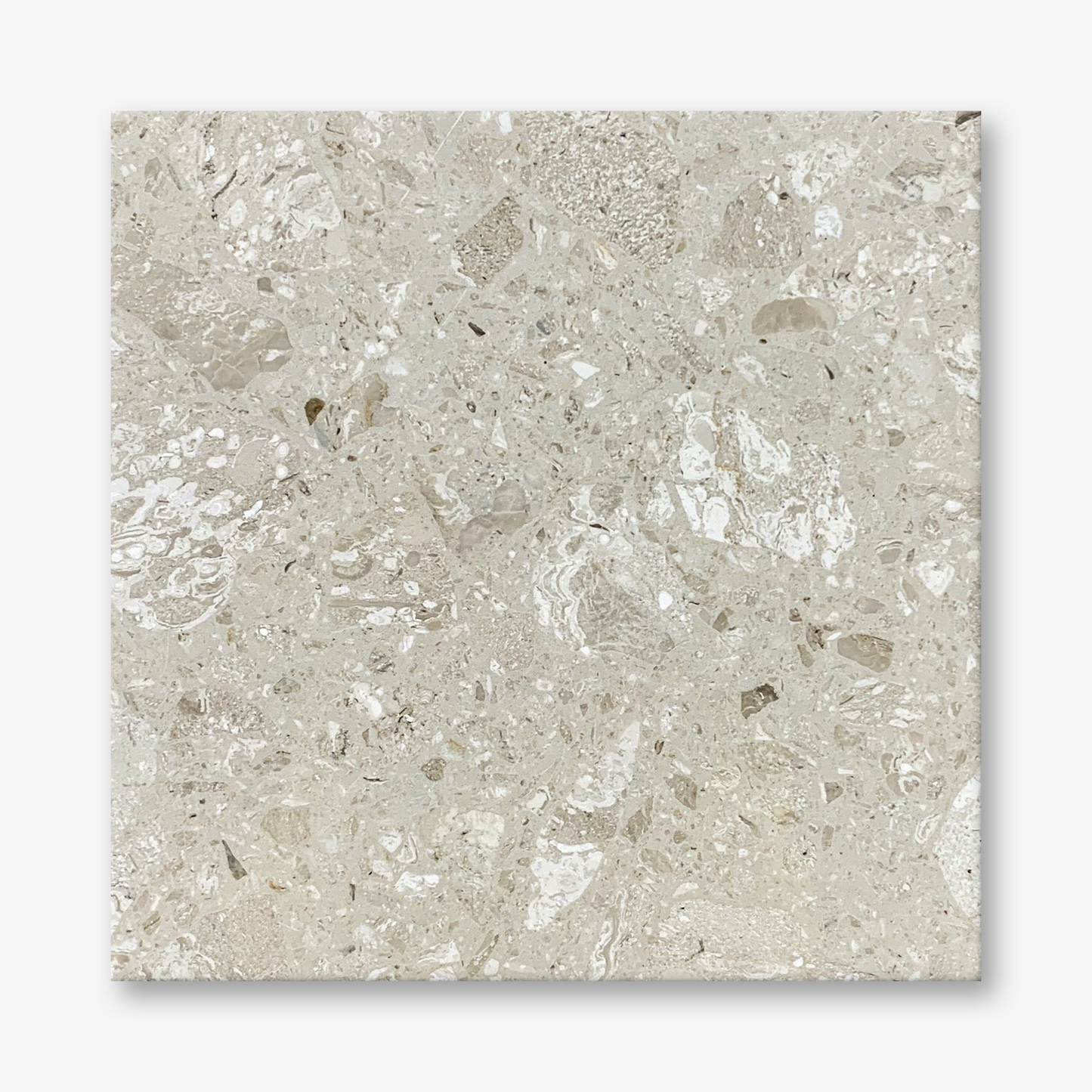 W8 Bergamo Cream Terrazzo Resin
