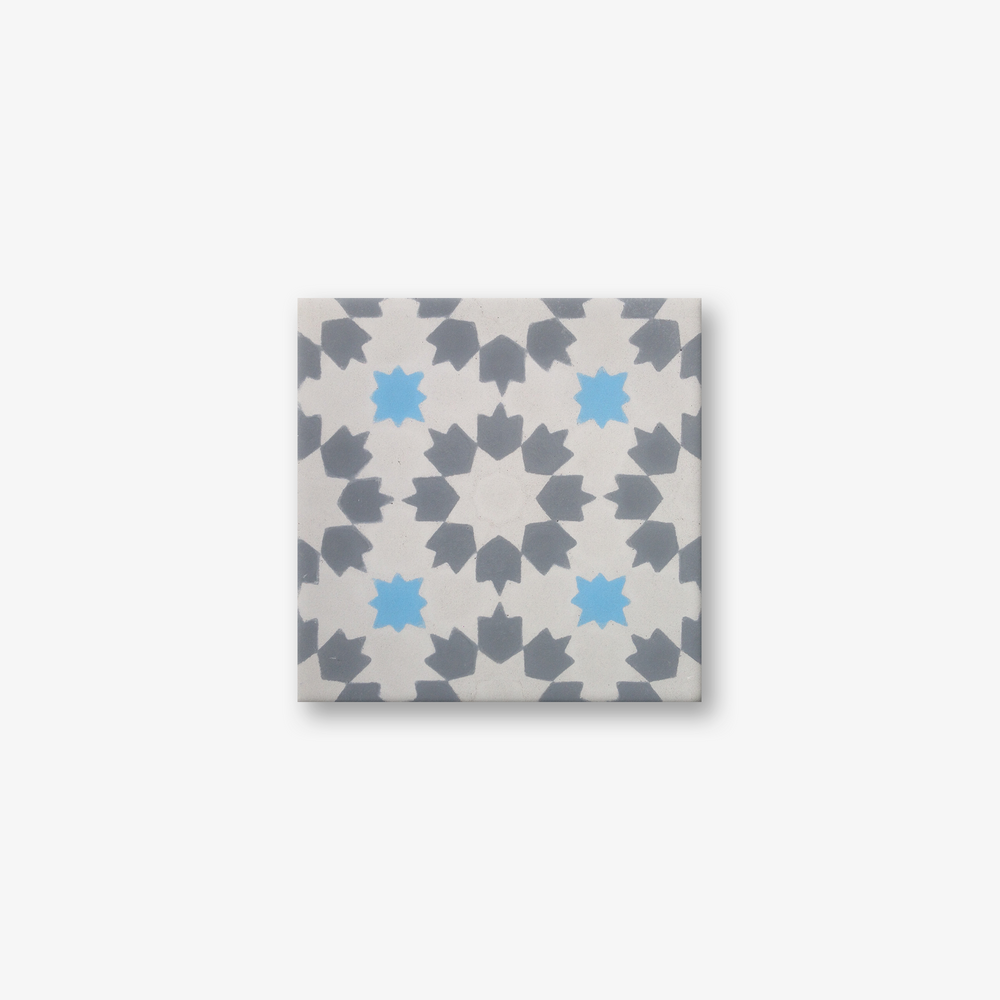Fiesta Encaustic Cement Tile