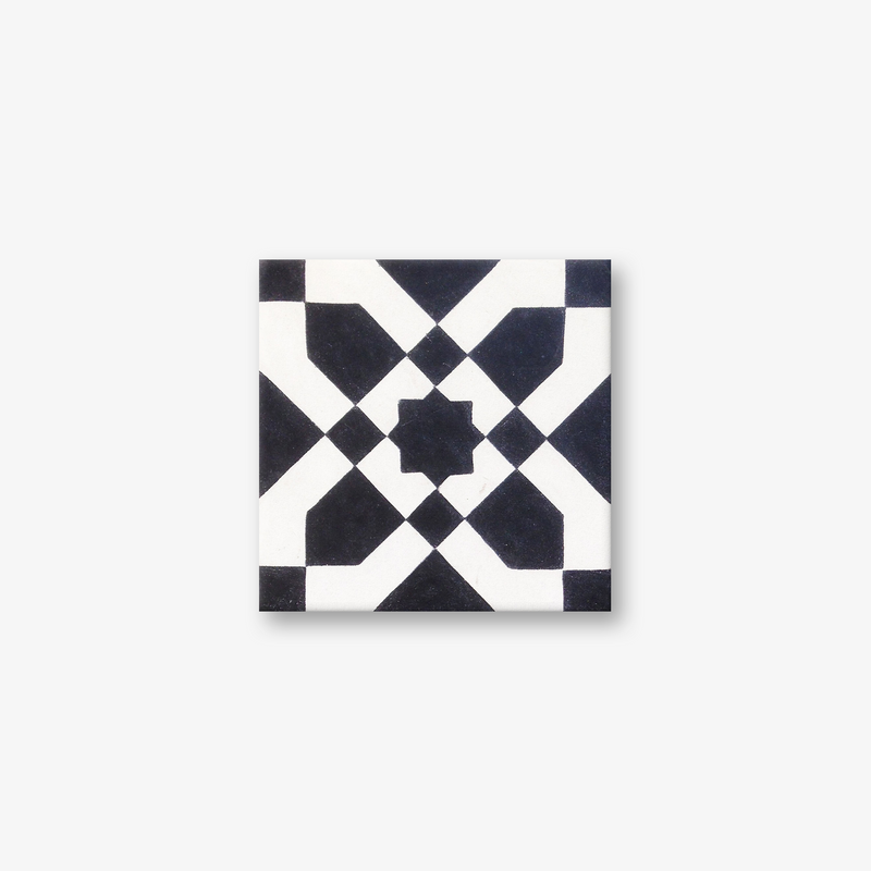 Iguazu Black & White Encaustic Cement Tile
