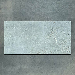 Silver Concrete Terrazzo 