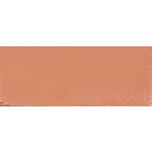 22 Burnt Orange - Solid Colour Encaustic Cement Tiles 10cm*20cm*1.5cm